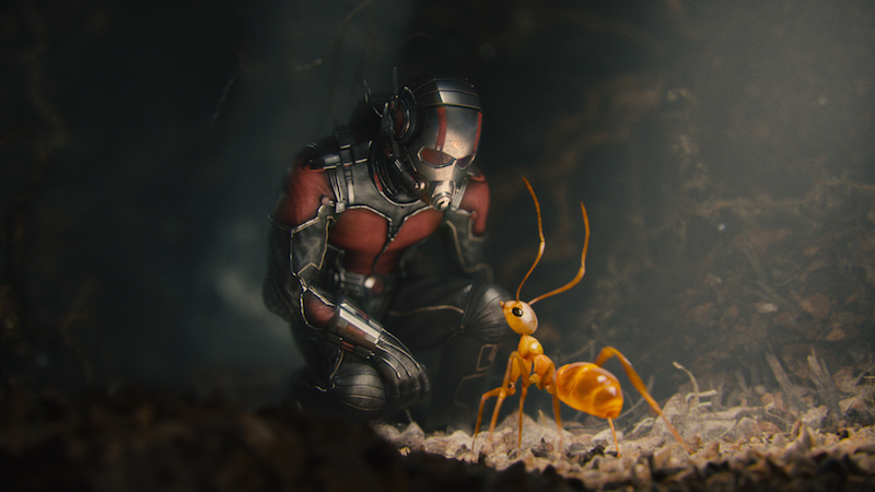 Ant-Man-with-ants